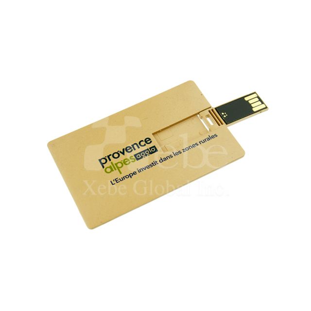 企業LOGO卡片型禮品USB手指
